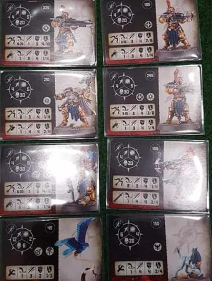 Fighter Card for the Stormcast Eternals Warband in Warcry