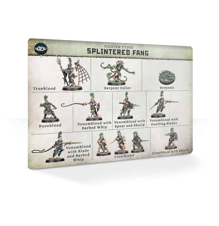 Overview of the fighters in the Splintered Fang Warband